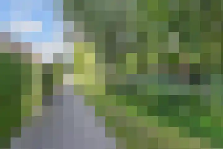Weigeliahof 15 Nootdorp thumbnail 51
