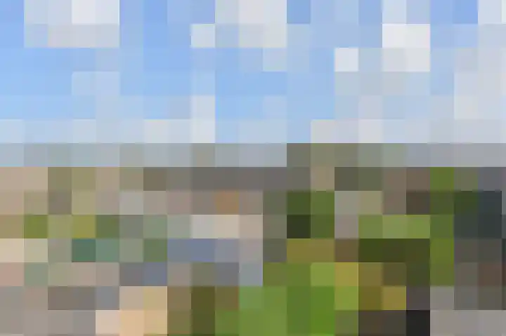 Weigeliahof 15 Nootdorp thumbnail 52