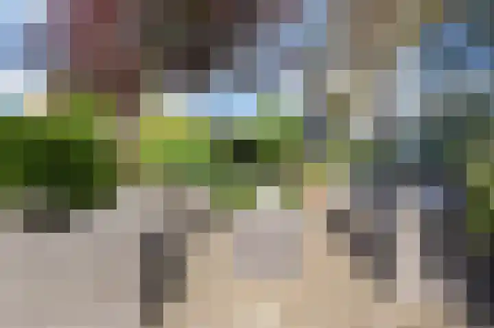 Weigeliahof 15 Nootdorp thumbnail 8