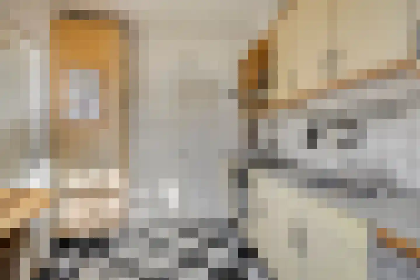 Weigelialaan 11 Gouda thumbnail 14