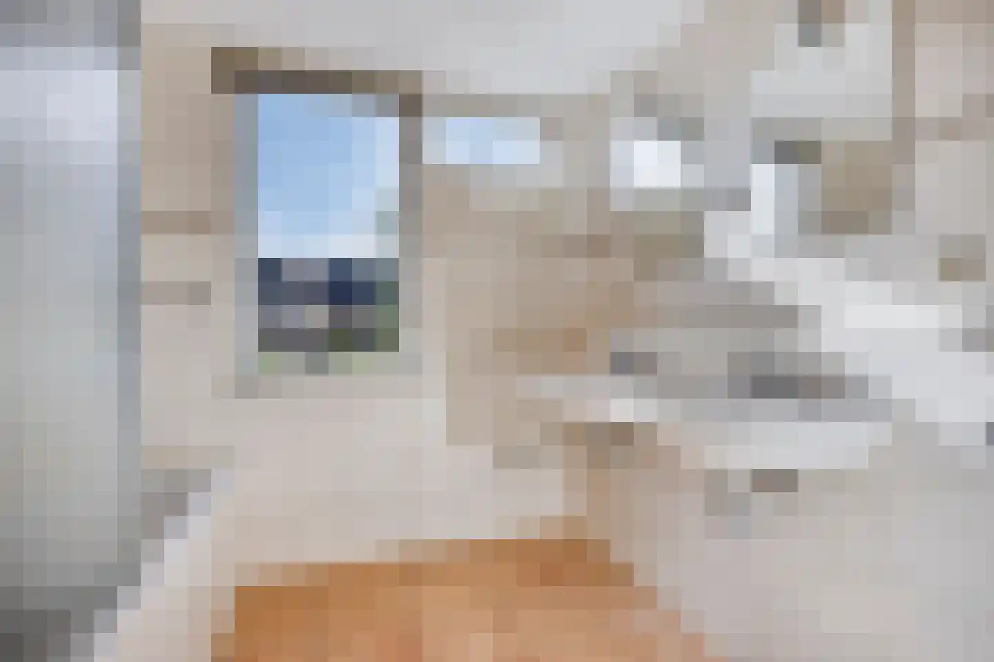 Weigelialaan 11 Gouda thumbnail 4
