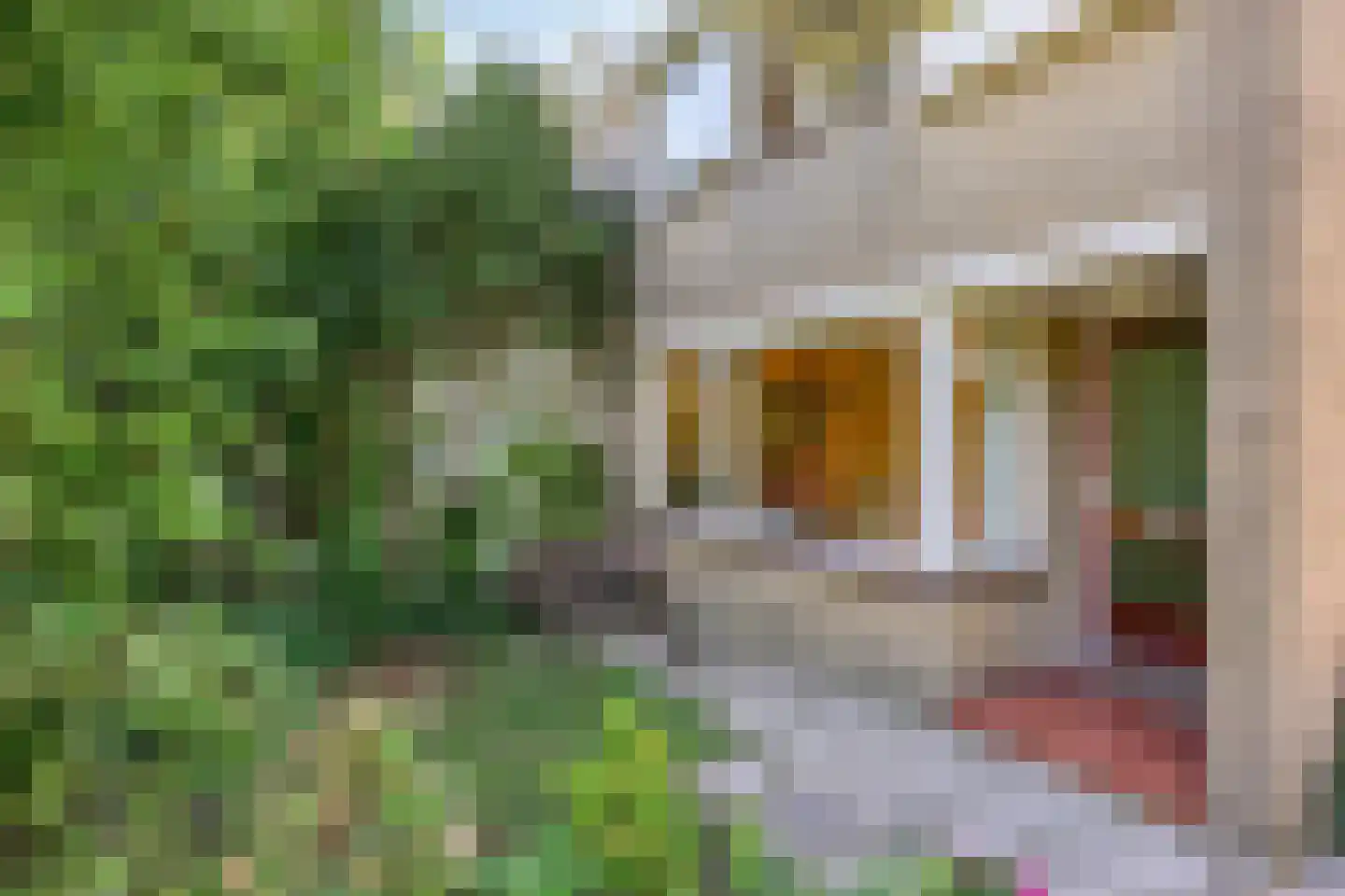 Weigelialaan 11 Gouda thumbnail 8