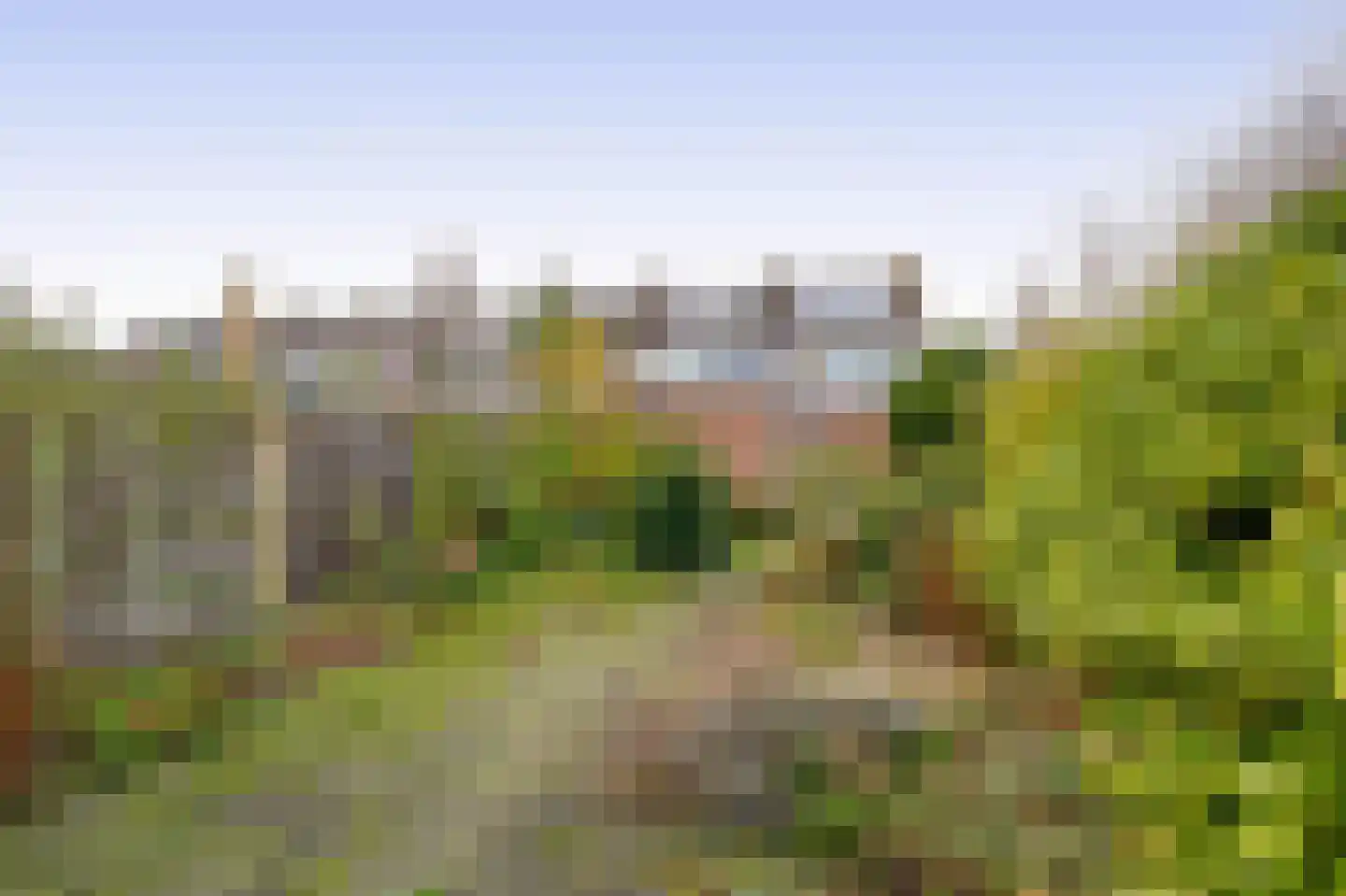 Weigelialaan 31 Pijnacker thumbnail 13