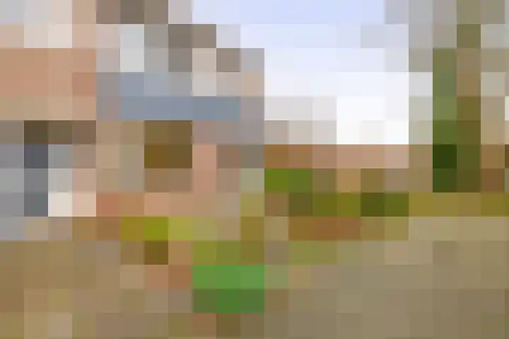 Weigelialaan 31 Pijnacker thumbnail 25