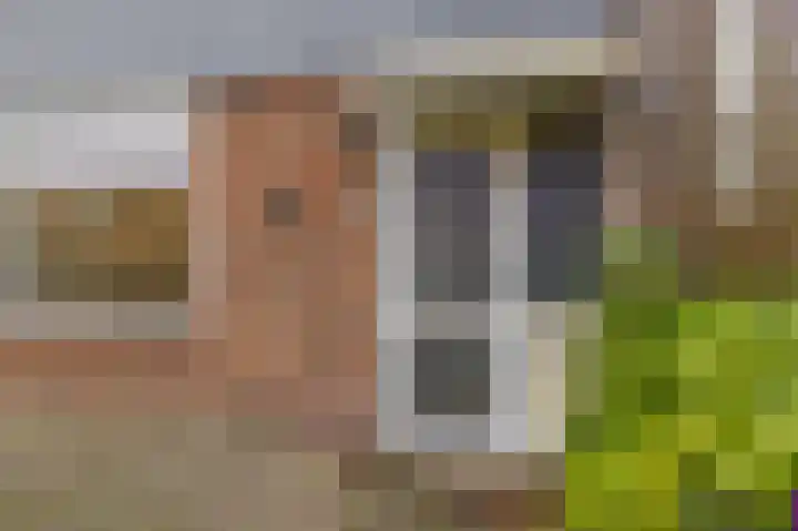 Weigelialaan 31 Pijnacker thumbnail 28