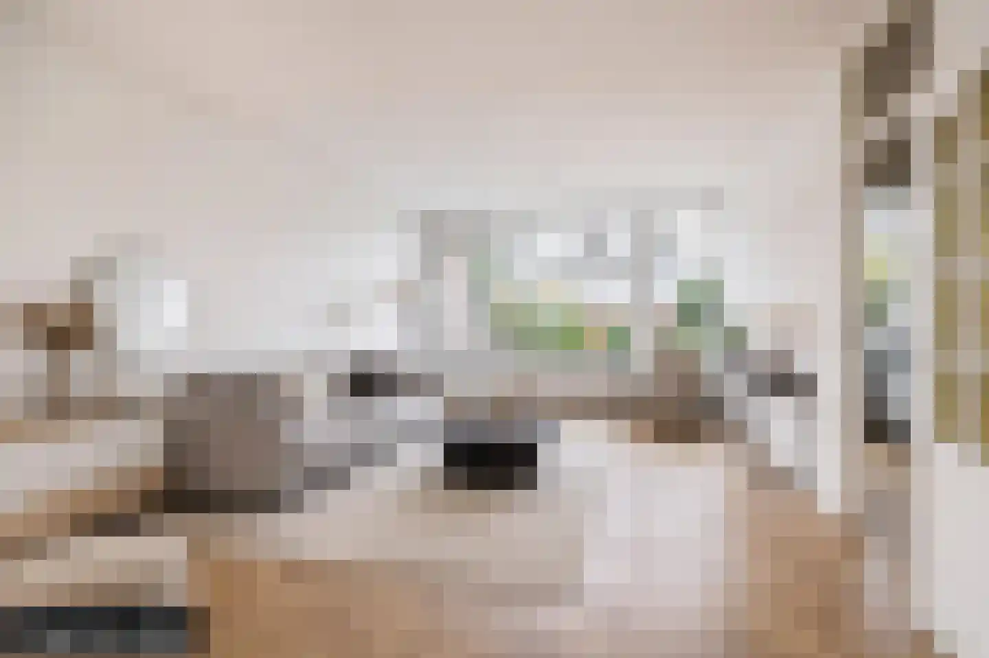 Weigelialaan 31 Pijnacker thumbnail 6