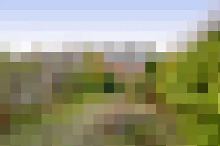 Weigelialaan 31 Pijnacker thumbnail 9