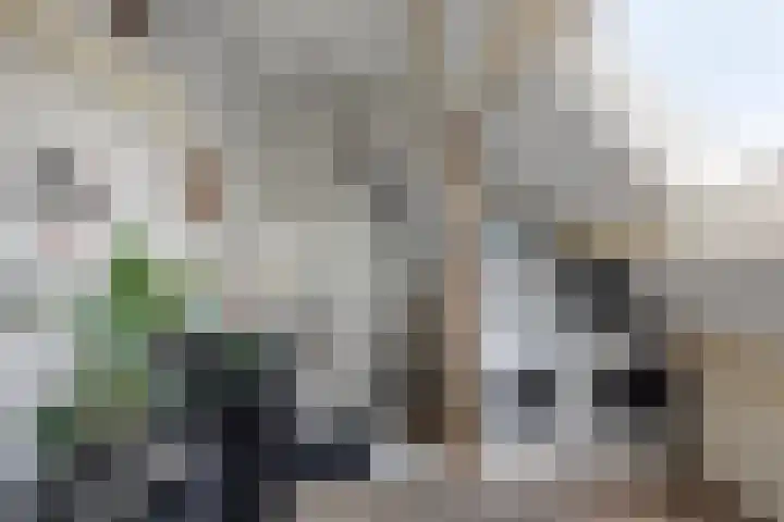 Weigeliapark 20 Zoetermeer thumbnail 38