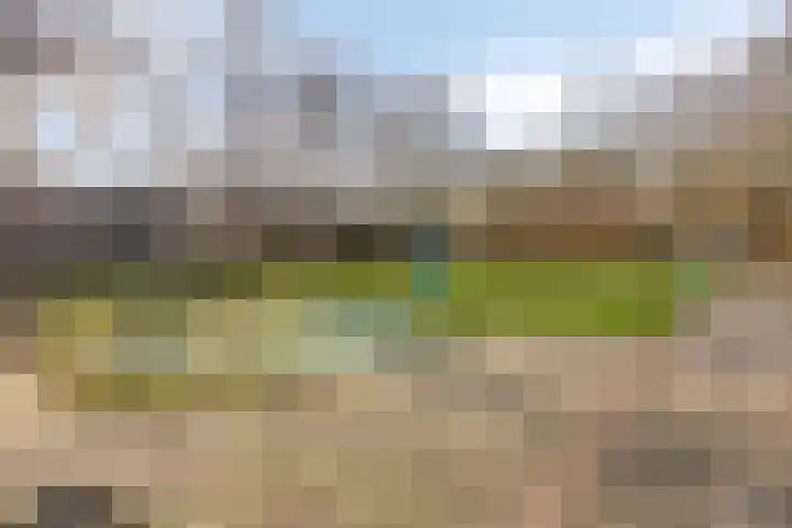 Weigeliapark 20 Zoetermeer thumbnail 49