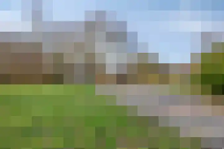 Weigeliapark 20 Zoetermeer thumbnail 50