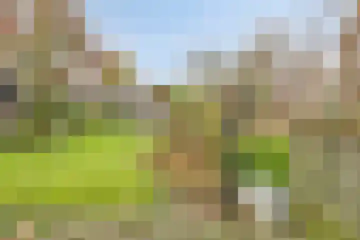 Weigeliapark 37 Zoetermeer thumbnail 31