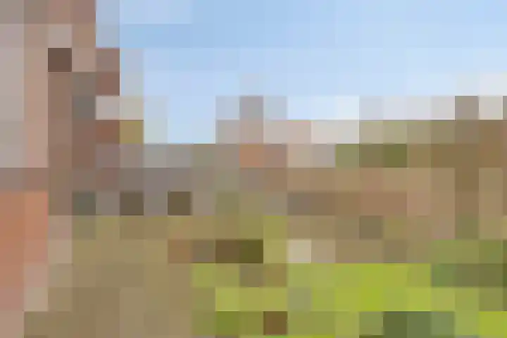 Weigeliapark 37 Zoetermeer thumbnail 34
