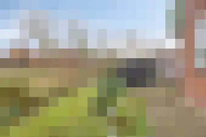 Weigeliapark 37 Zoetermeer thumbnail 35