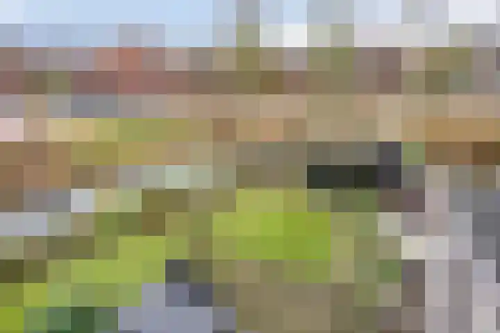 Weigeliapark 37 Zoetermeer thumbnail 37