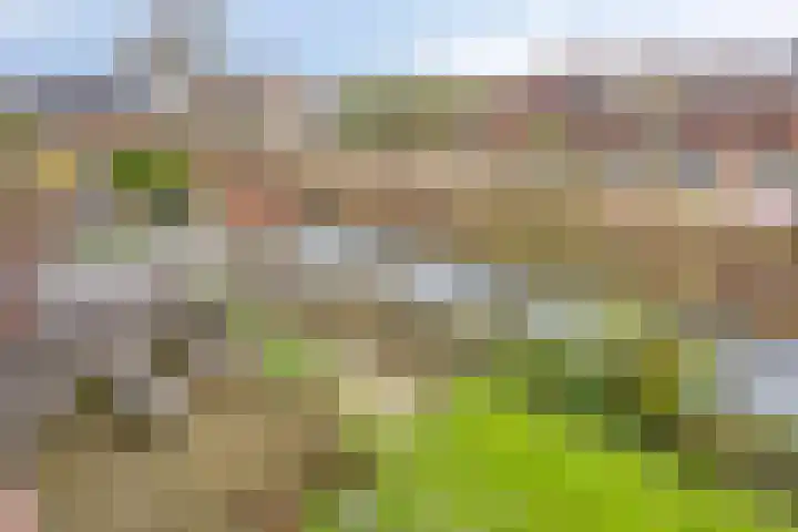 Weigeliapark 37 Zoetermeer thumbnail 38