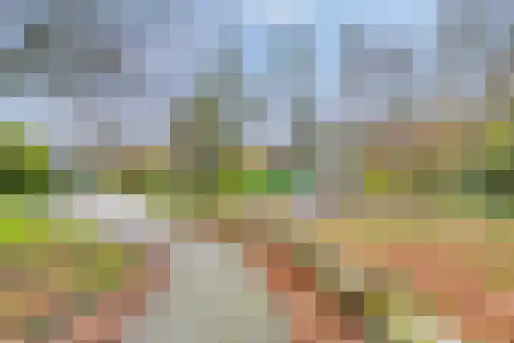 Weigeliapark 37 Zoetermeer thumbnail 41