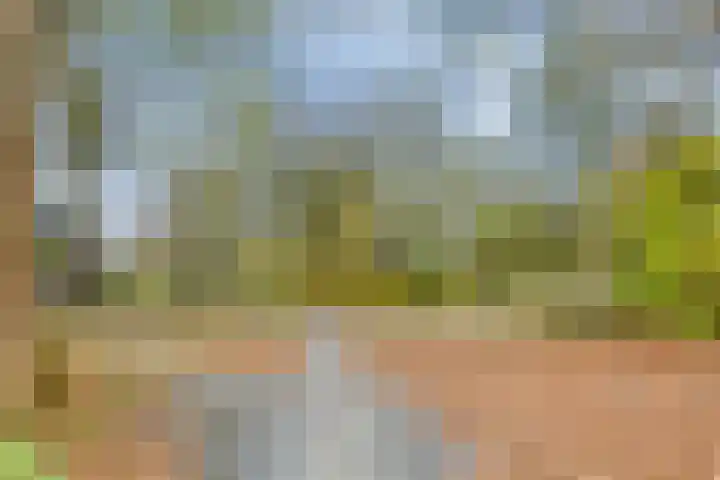 Weigeliapark 37 Zoetermeer thumbnail 42