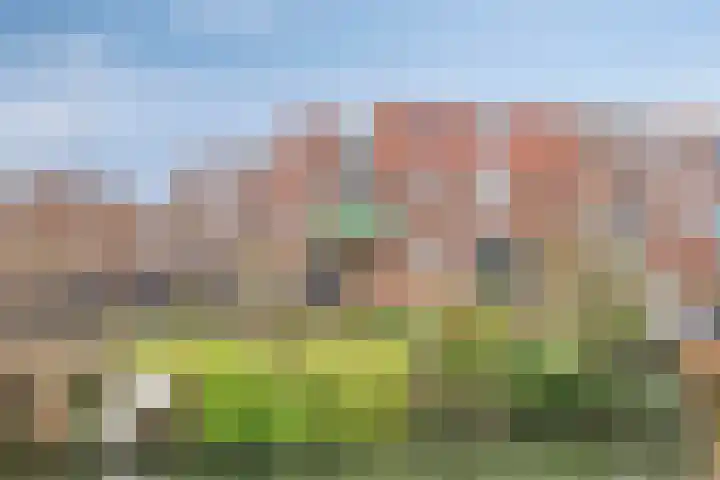 Weigeliapark 37 Zoetermeer thumbnail 45