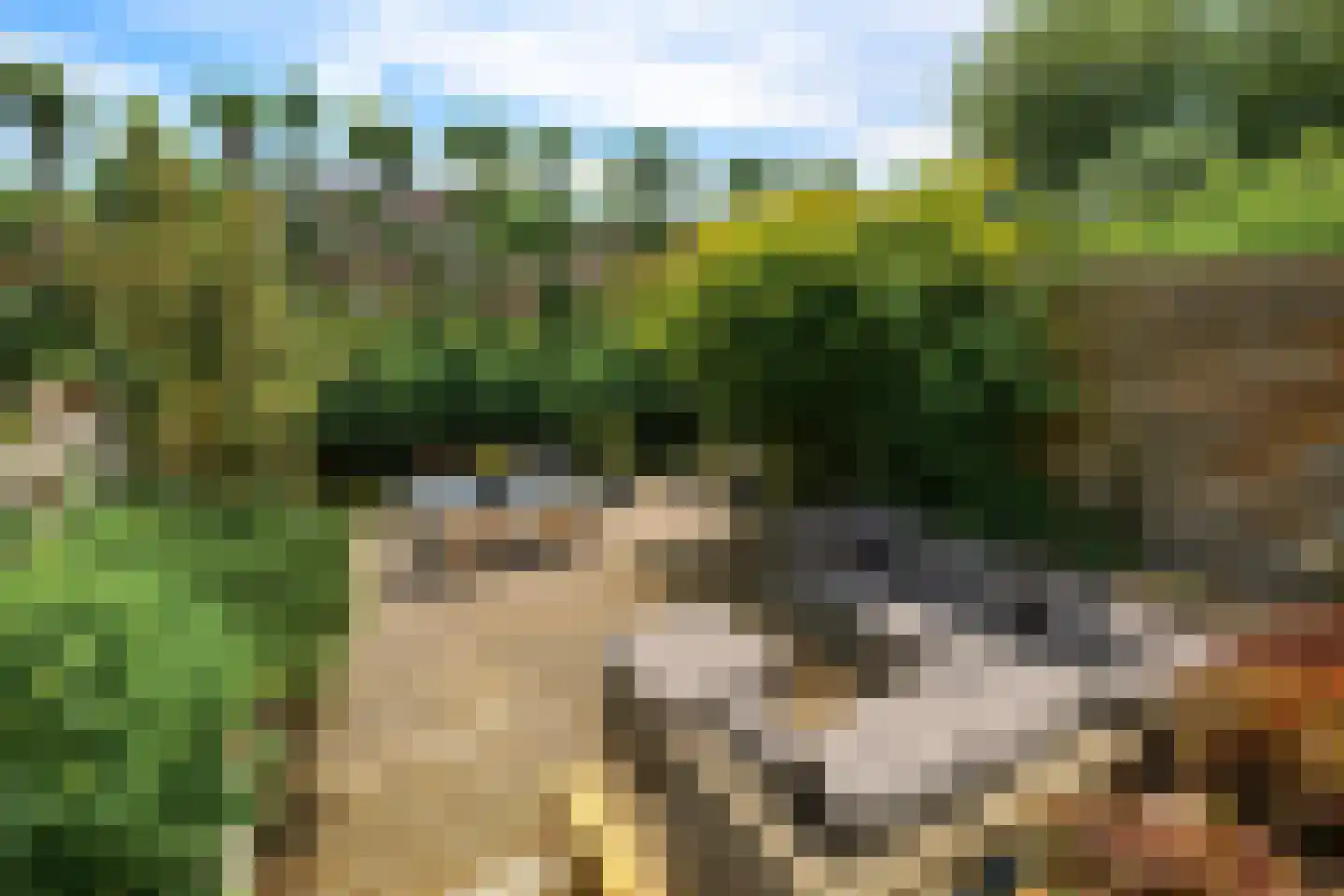 Weigeliapark 39 Zoetermeer thumbnail 23