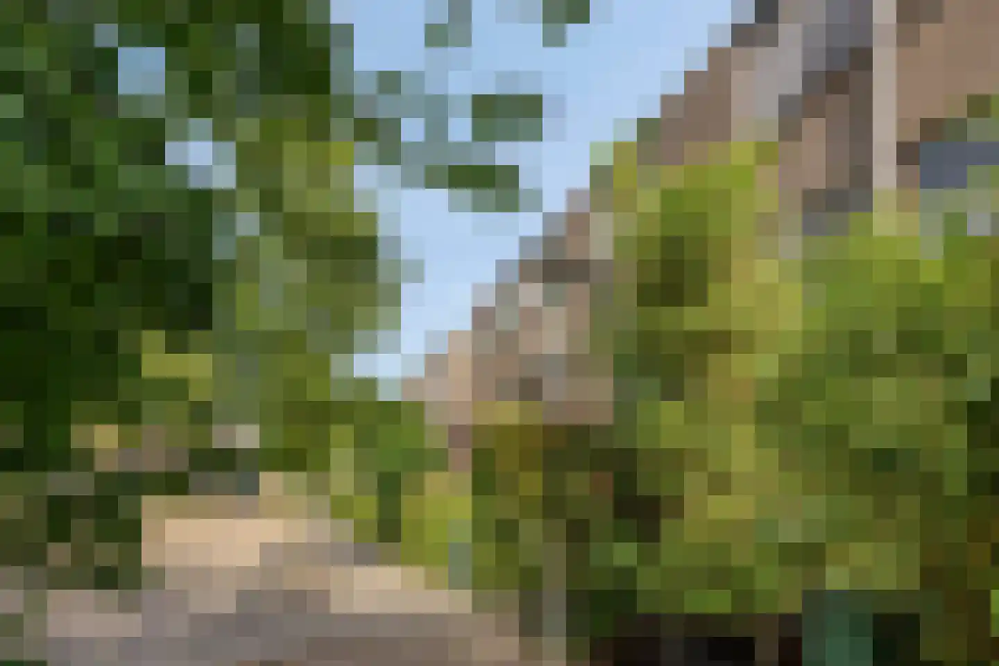 Weigeliapark 50 Zoetermeer thumbnail 55