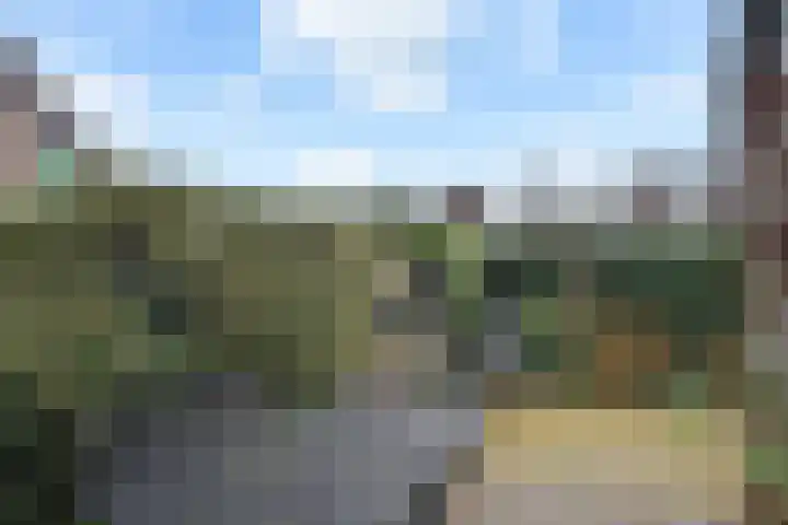 Weigeliapark 52 Zoetermeer thumbnail 12