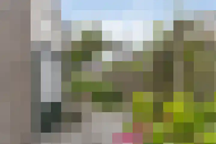 Weigeliapark 62 Zoetermeer thumbnail 16