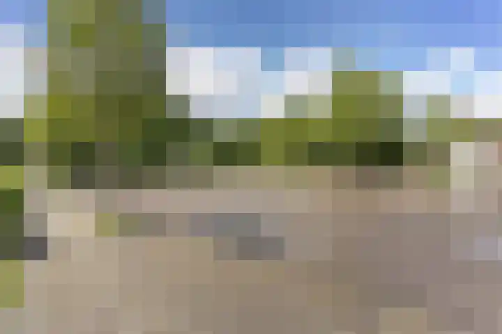 Weigeliapark 62 Zoetermeer thumbnail 36