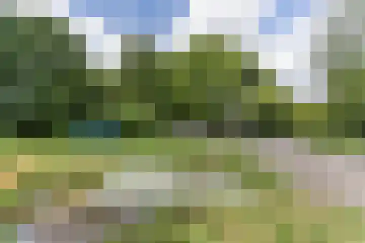 Weigeliapark 62 Zoetermeer thumbnail 37