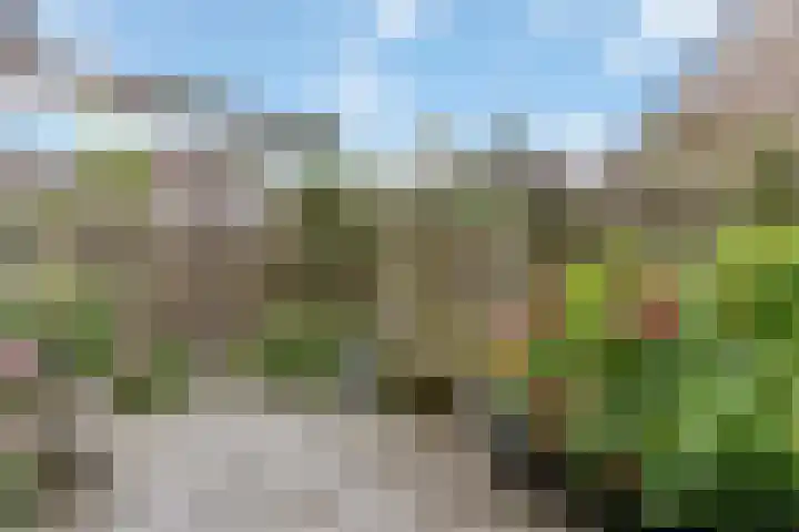 Weigeliapark 62 Zoetermeer thumbnail 4