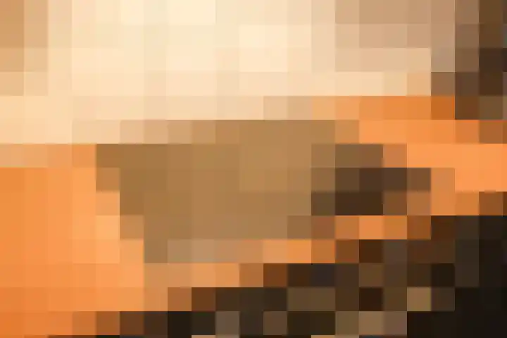 Weigeliastraat 2 Hoogeveen thumbnail 11