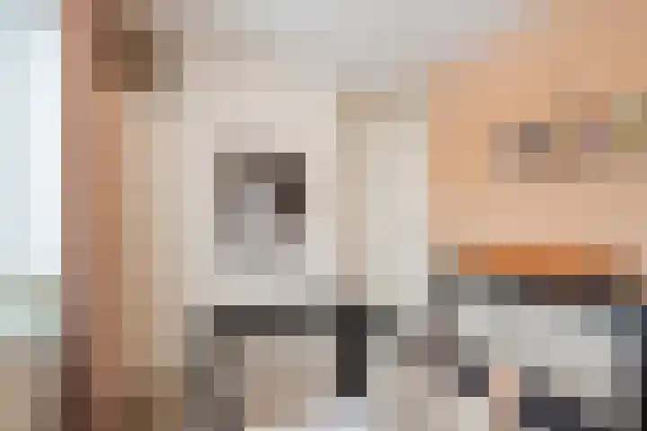 Weigeliastraat 2 Hoogeveen thumbnail 27