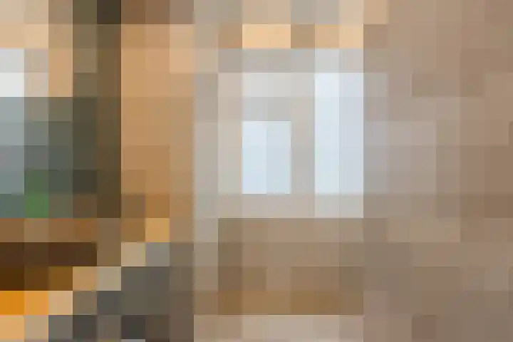 Weigeliastraat 2 Hoogeveen thumbnail 29