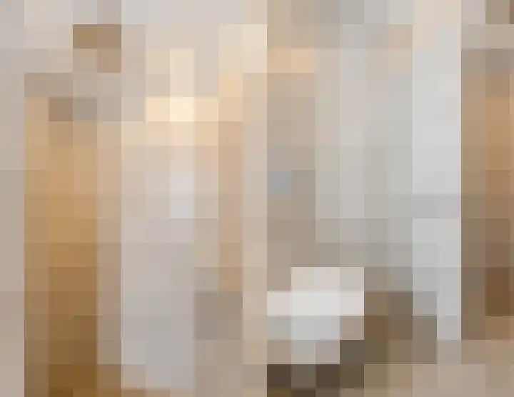 Weigeliastraat 2 Hoogeveen thumbnail 33
