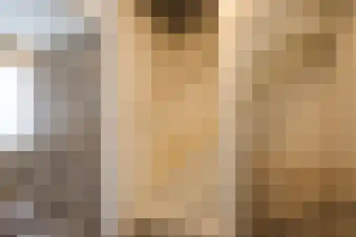 Weigeliastraat 2 Hoogeveen thumbnail 34
