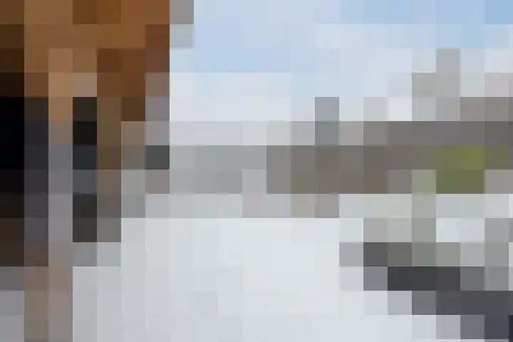 Weigeliastraat 2 Hoogeveen thumbnail 44