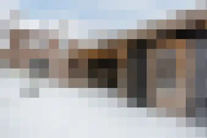 Weigeliastraat 2 Hoogeveen thumbnail 46