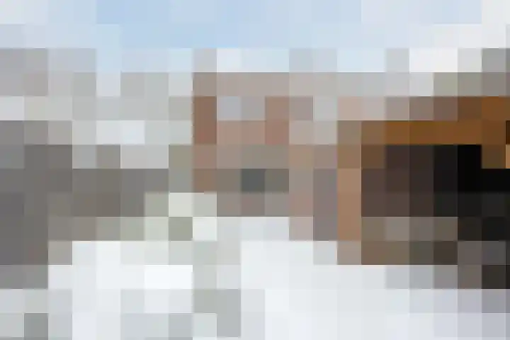 Weigeliastraat 2 Hoogeveen thumbnail 47