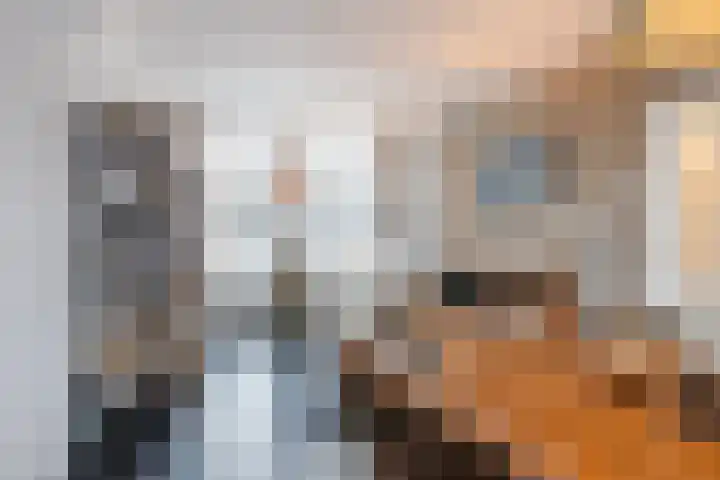 Weigeliastraat 2 Hoogeveen thumbnail 7