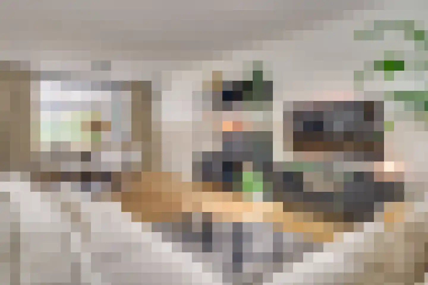 Weigeliastraat 20 Maarheeze thumbnail 11