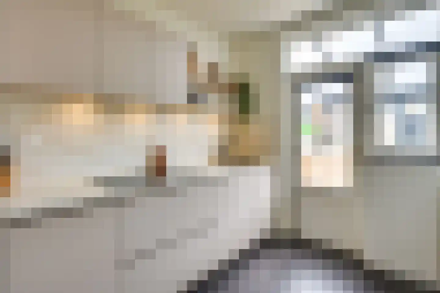 Weigeliastraat 20 Maarheeze thumbnail 16