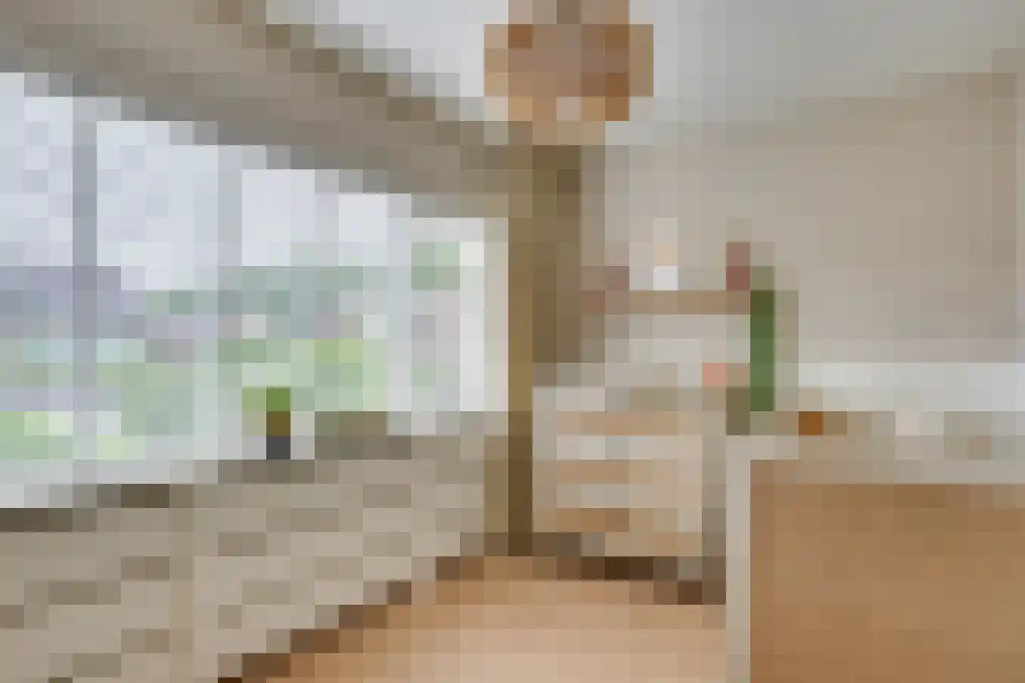 Weigeliastraat 20 Maarheeze thumbnail 30