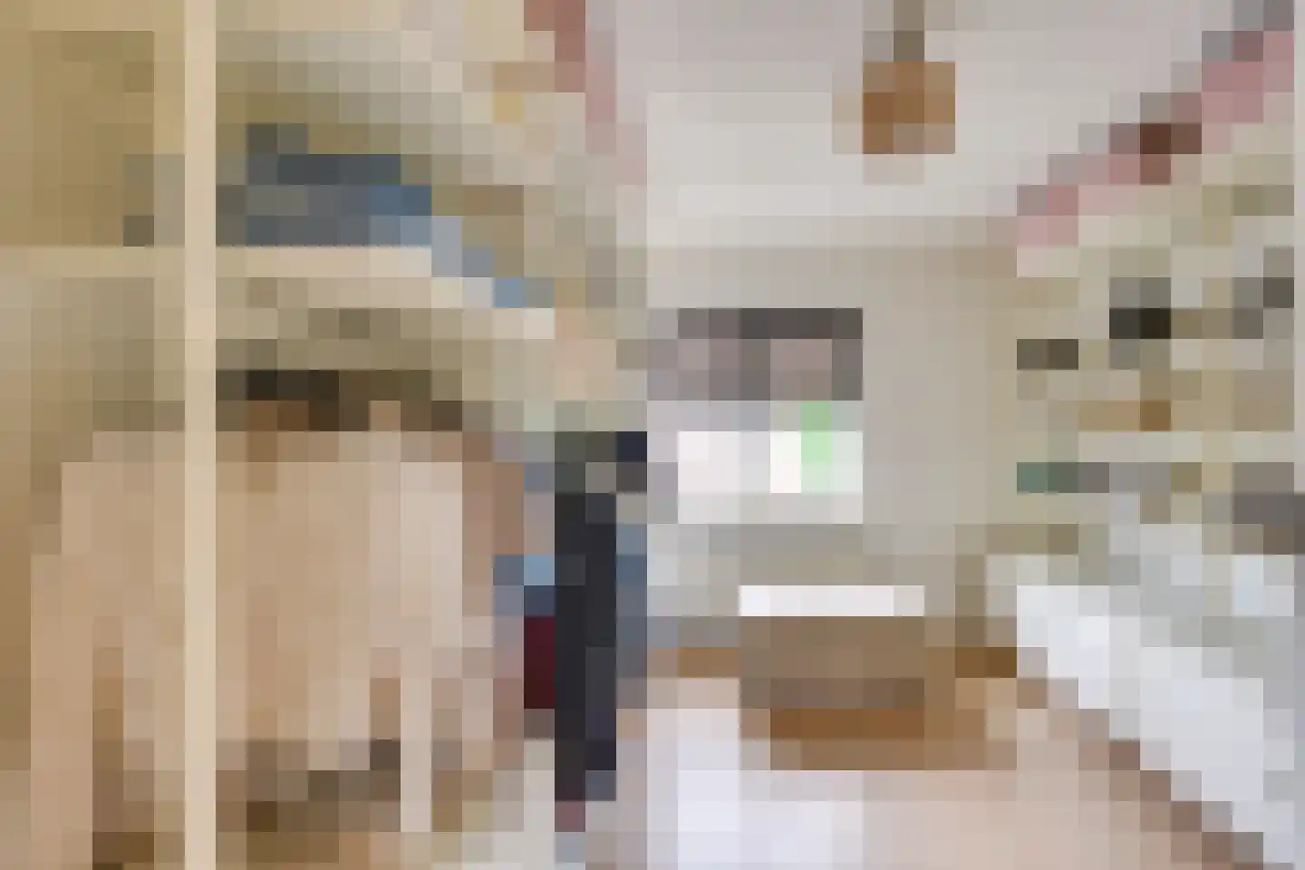 Weigeliastraat 20 Maarheeze thumbnail 31