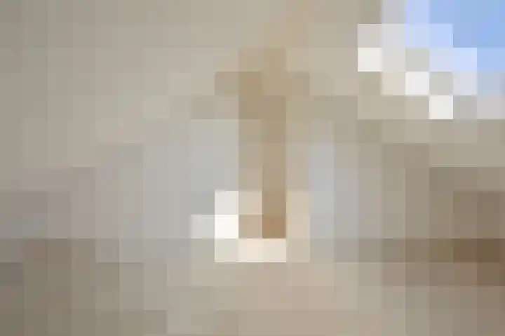 Weigeliastraat 23 Hoogeveen thumbnail 39