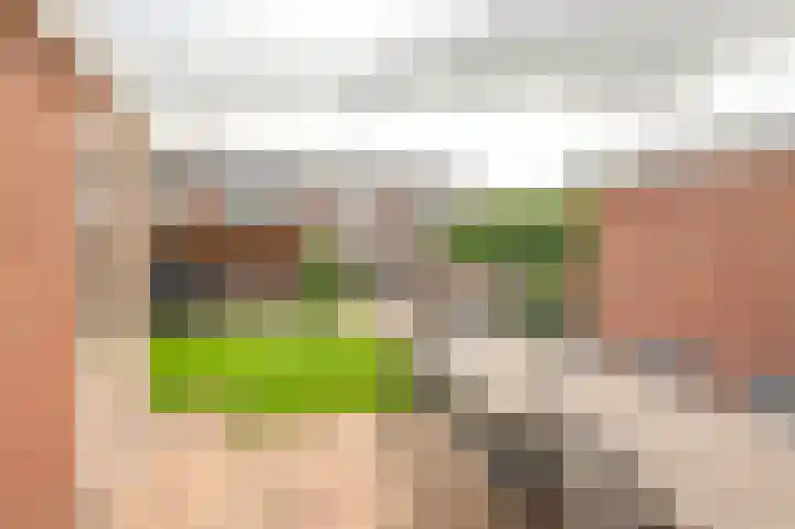 Weigeliastraat 23 Hoogeveen thumbnail 41