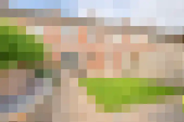 Weigeliastraat 23 Hoogeveen thumbnail 43
