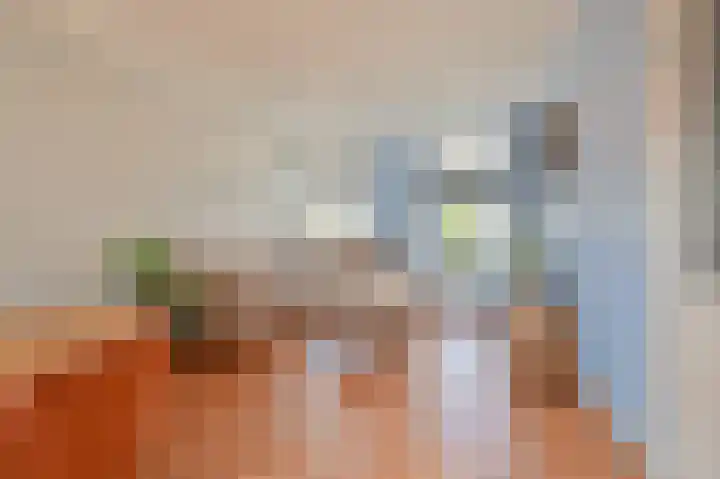 Weigeliastraat 23 Hoogeveen thumbnail 6