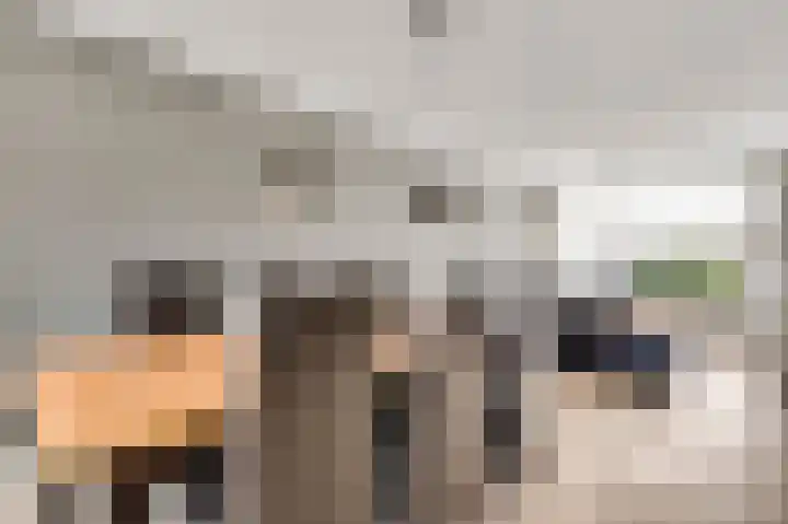 Weigeliastraat 4 Maarheeze thumbnail 17