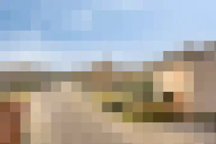 Weigeliastraat 5 Ell thumbnail 34