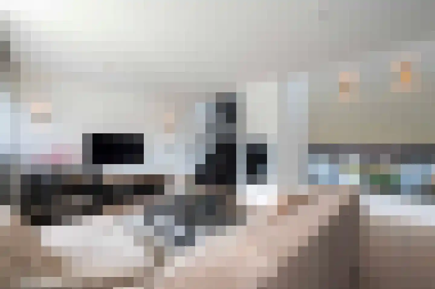 Weigeliastraat 9 Hoeven thumbnail 20