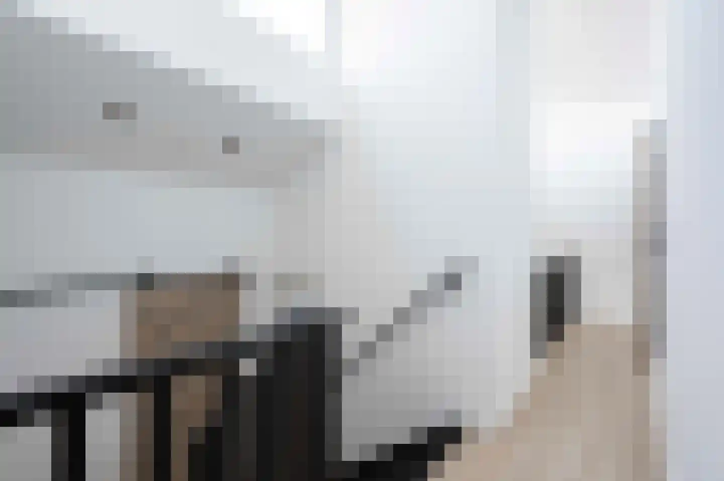 Weigeliastraat 9 Hoeven thumbnail 36
